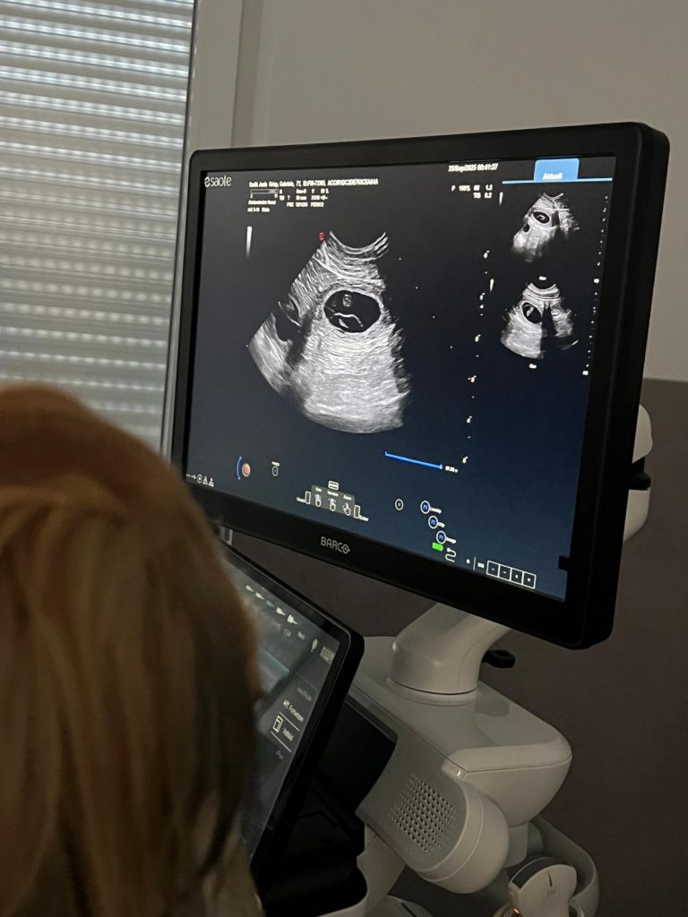 Wurfankündigung November 2025